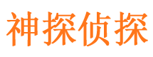 天峻私家调查公司